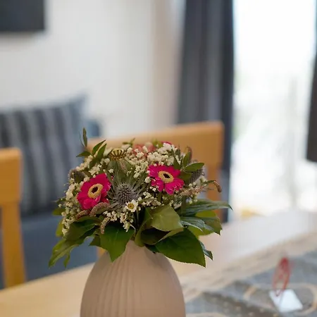 Haus Lowe Erdgeschoss 1 Apartment Filzmoos