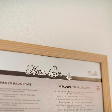 Haus Lowe Erdgeschoss 1 *